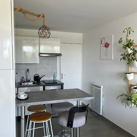 Port Camargues Le Grau-du-Roi