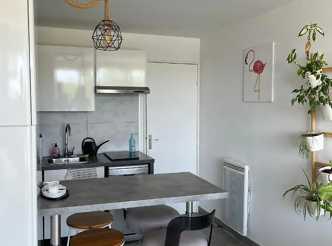 Port Camargues 勒格罗-迪鲁瓦